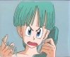 bulma02