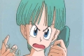Bulma
