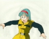 bulma07