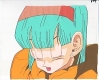 bulma08
