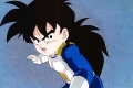 Gohan