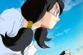 Videl